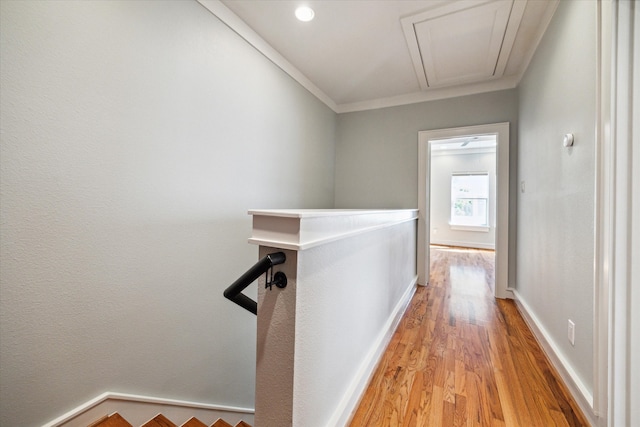 hallway featuring light wood-type flooring and crown molding