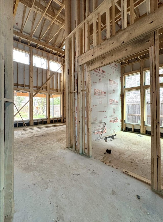 miscellaneous room featuring a wealth of natural light