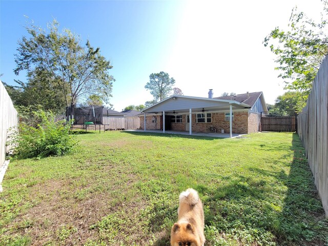 view of yard featuring a patio, a trampoline, and ceiling fan