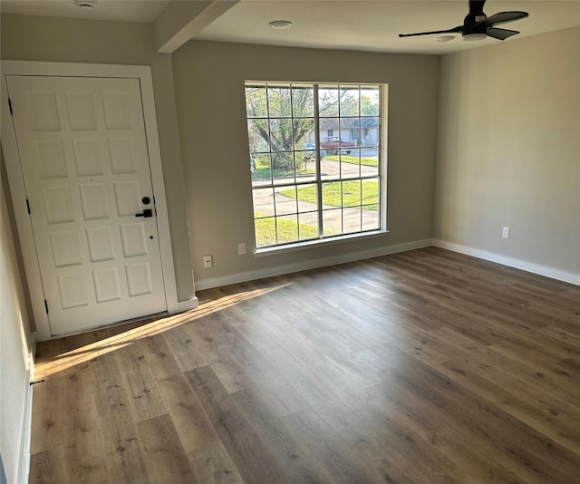 entrance foyer with hardwood / wood-style floors, plenty of natural light, and ceiling fan