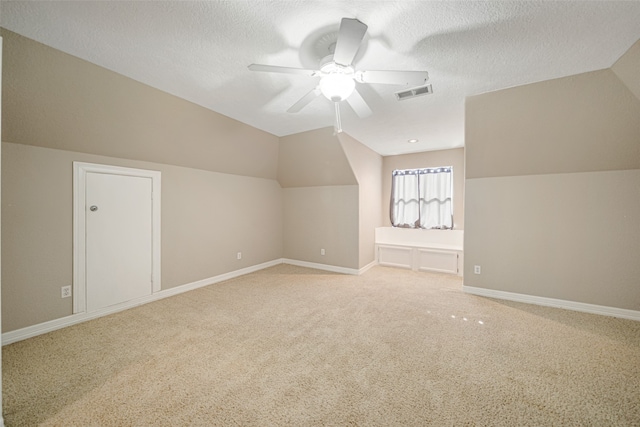 additional living space featuring carpet, a textured ceiling, and vaulted ceiling