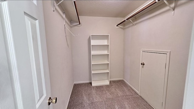 spacious closet with light colored carpet