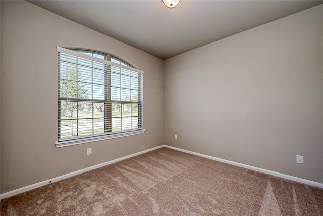 spare room with carpet floors