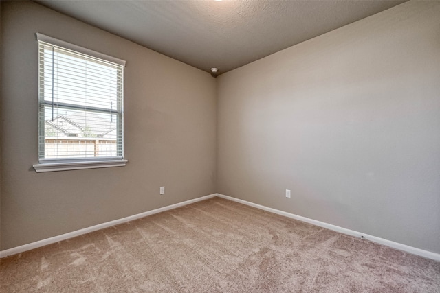 empty room featuring light colored carpet and a textured ceiling