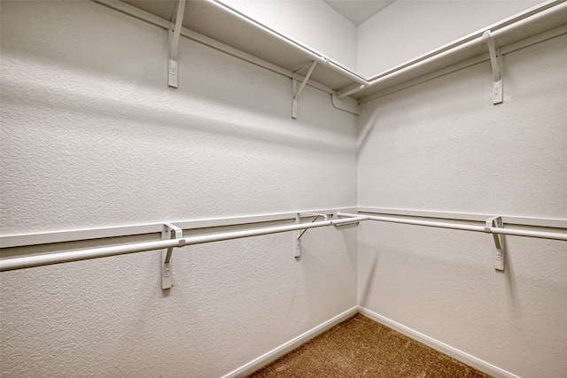 spacious closet featuring carpet floors