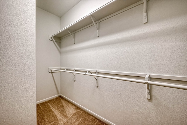 walk in closet featuring carpet flooring