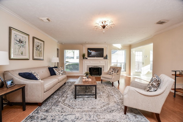 living room with hardwood / wood-style flooring and a wealth of natural light