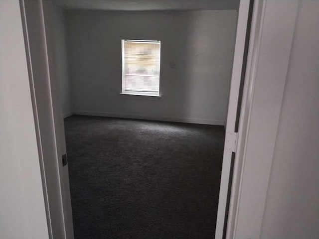 unfurnished room with carpet floors