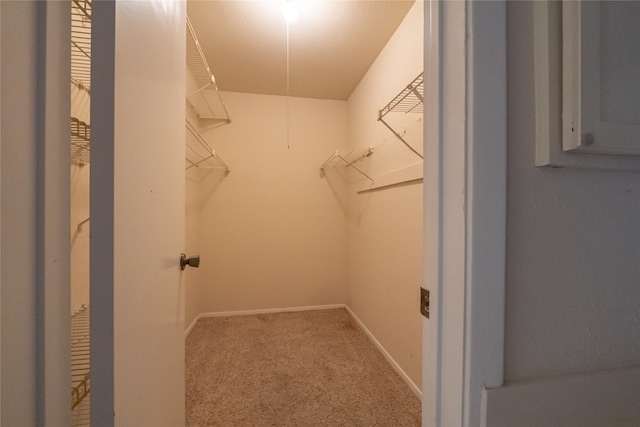 walk in closet with carpet floors