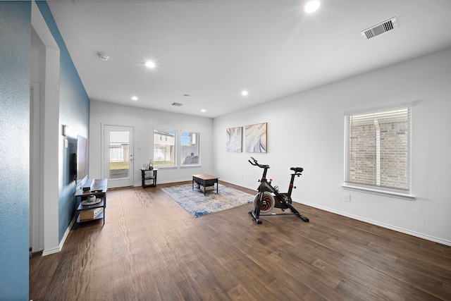 workout room featuring dark hardwood / wood-style floors