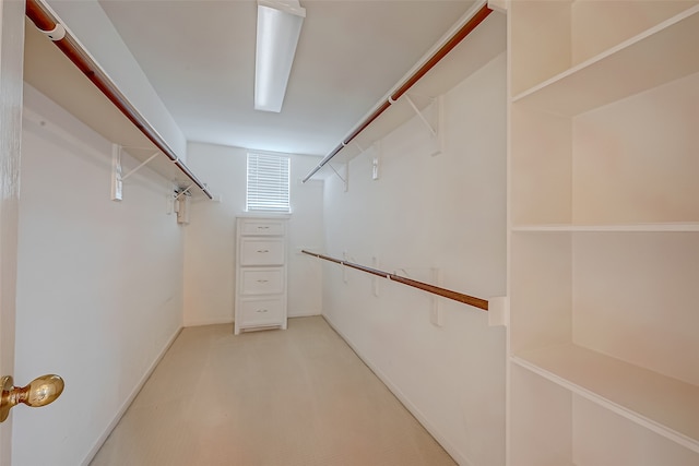 walk in closet with light carpet