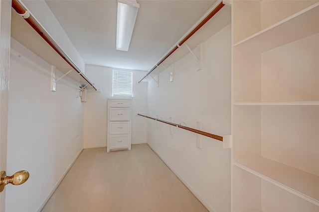 2519 Meadow Tree Ln, Spring, TX 77388 - walk in closet featuring light carpet
