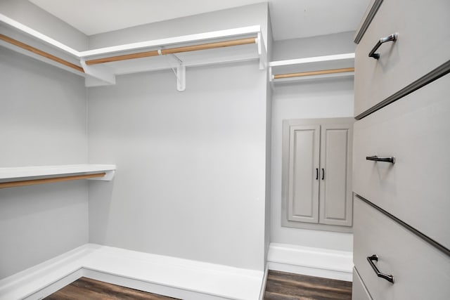 walk in closet with dark hardwood / wood-style floors