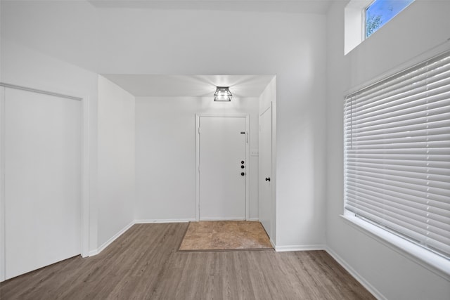 entryway featuring wood-type flooring