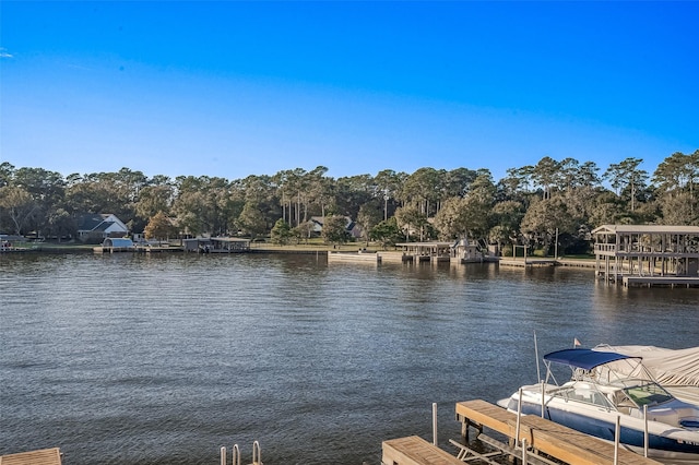 dock area with a water view