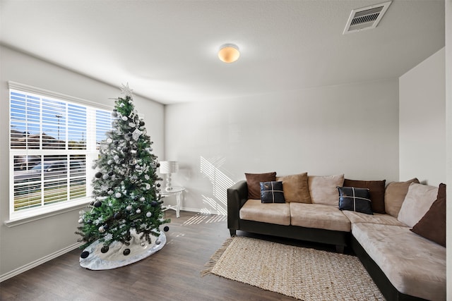 living room featuring dark hardwood / wood-style flooring