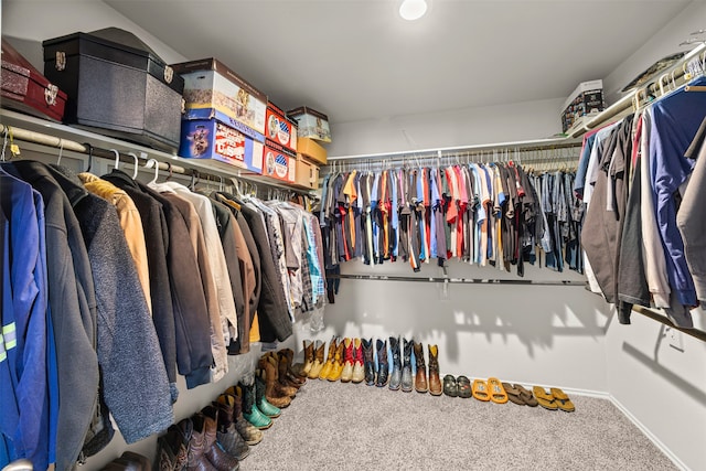 walk in closet with carpet flooring