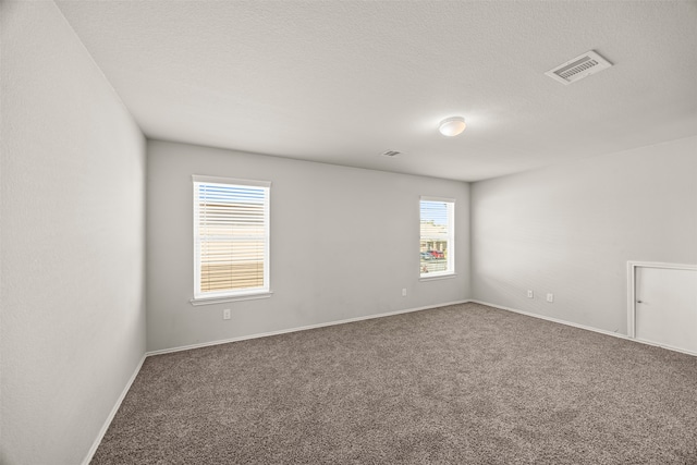 carpeted empty room featuring plenty of natural light and a textured ceiling