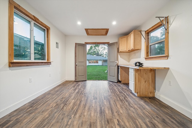 kitchen with light brown cabinetry and dark wood-type flooring