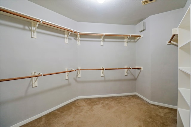 walk in closet with light colored carpet