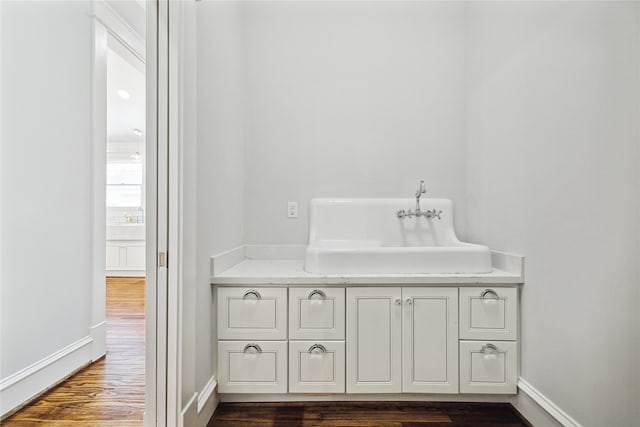 bathroom featuring wood-type flooring and sink