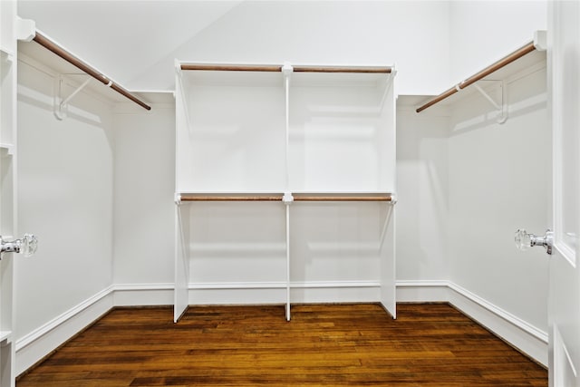 walk in closet featuring dark hardwood / wood-style floors