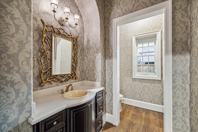 bathroom featuring vanity, toilet, and wood-type flooring