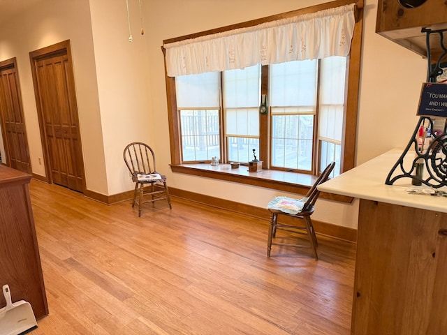 living area featuring light hardwood / wood-style floors