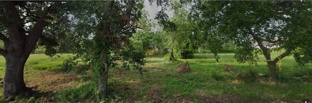 Listing photo 3 for 9826 Bennett St, Houston TX 77029