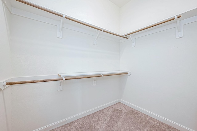 spacious closet featuring carpet floors