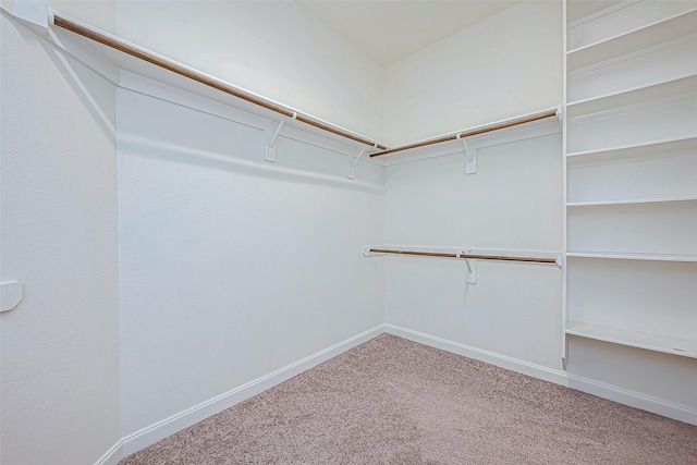 walk in closet with carpet flooring