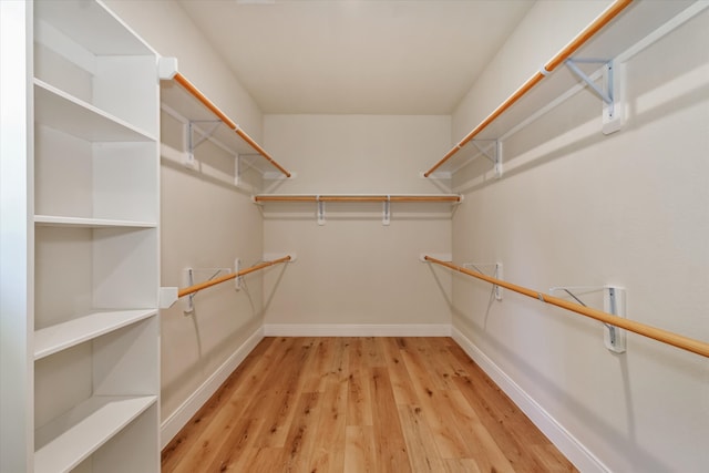 spacious closet featuring light hardwood / wood-style floors