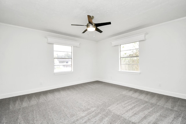 unfurnished room with ceiling fan, carpet floors, and ornamental molding