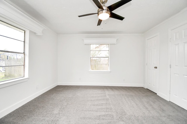 carpeted spare room with ceiling fan and crown molding