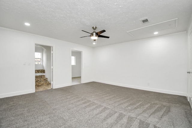 unfurnished room with carpet flooring, ceiling fan, ornamental molding, and a textured ceiling