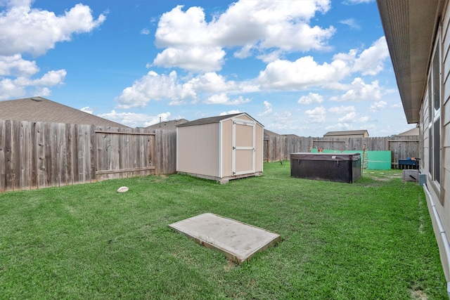 view of yard with a storage shed