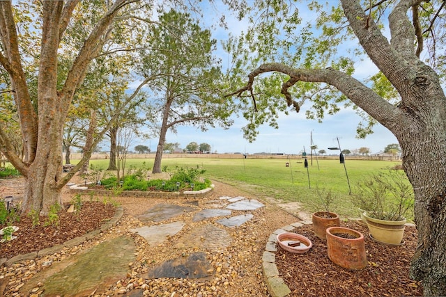 view of yard featuring a rural view