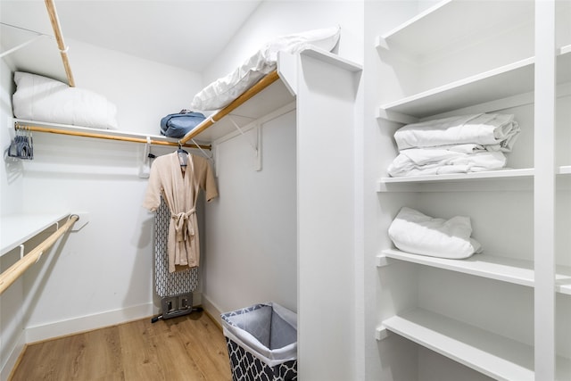 walk in closet featuring wood-type flooring