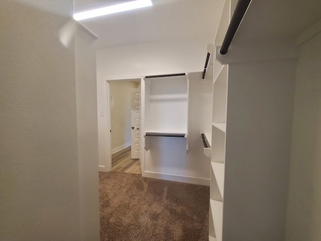 spacious closet with carpet flooring