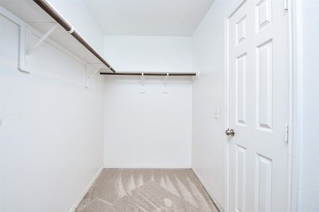 spacious closet featuring light colored carpet