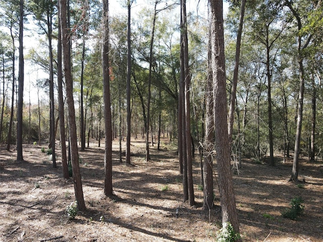 38185 Spur 149th Rd, Magnolia, TX 77354 - photo 7