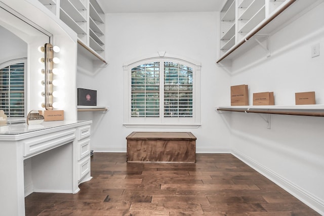 spacious closet with dark hardwood / wood-style flooring