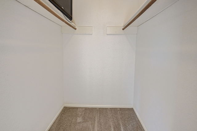 walk in closet featuring carpet floors