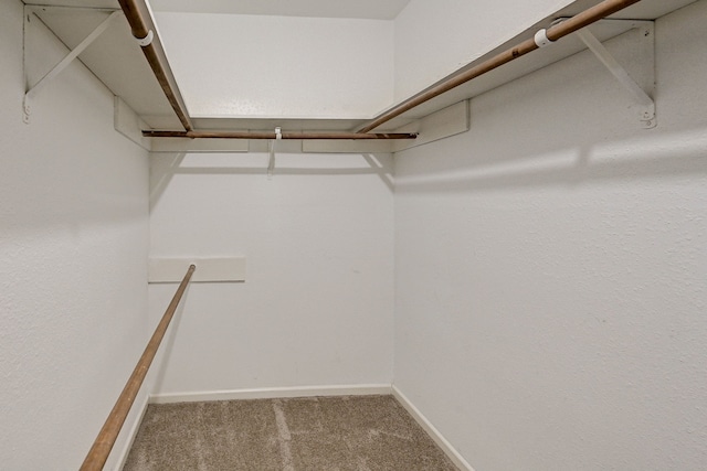 walk in closet with carpet flooring