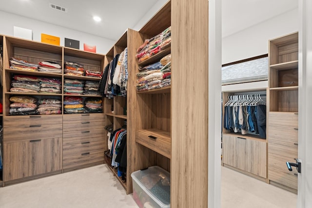 view of spacious closet