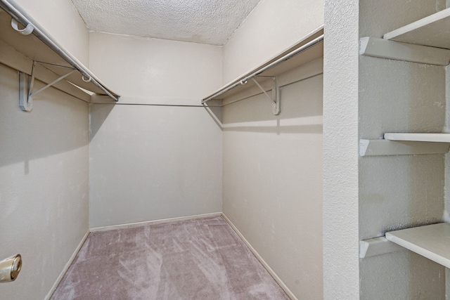 walk in closet featuring light colored carpet