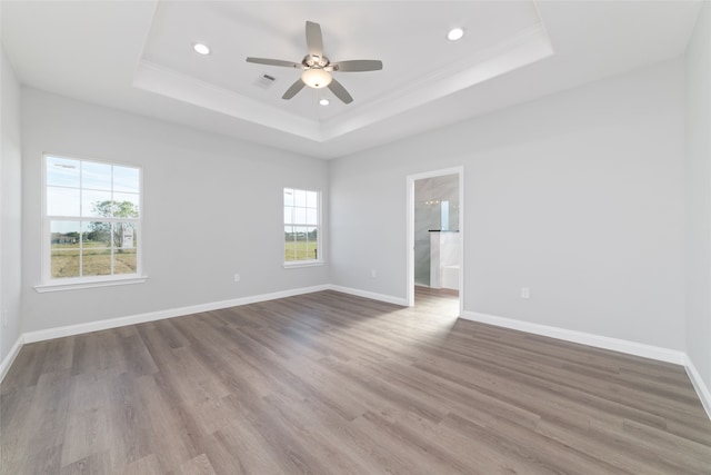 empty room featuring hardwood / wood-style floors, a raised ceiling, and a healthy amount of sunlight