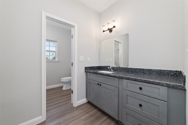 bathroom featuring vanity, toilet, and wood-type flooring