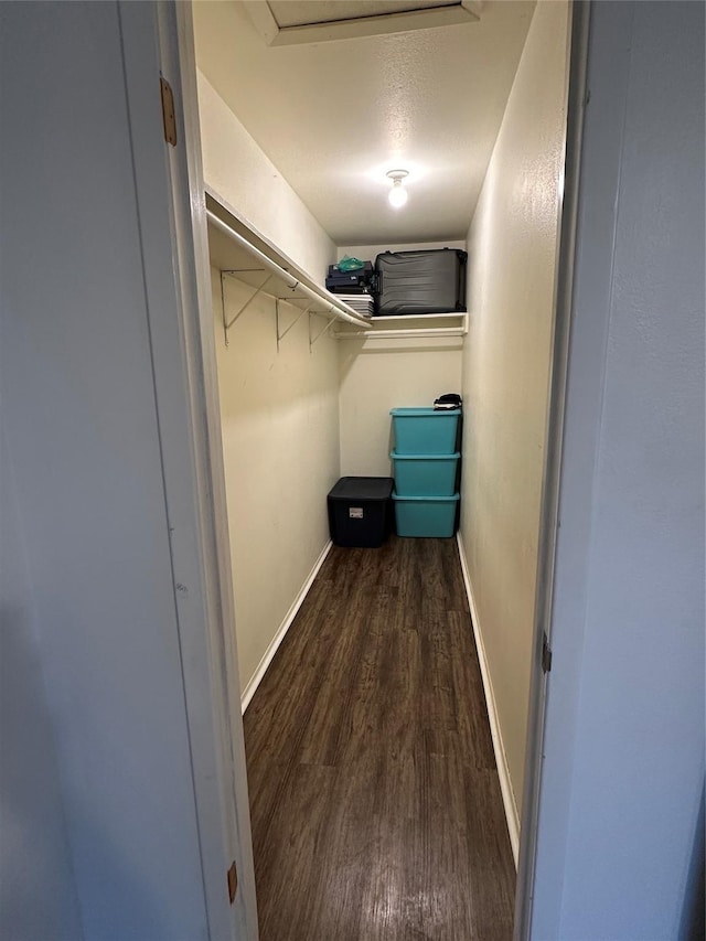 spacious closet with dark hardwood / wood-style flooring