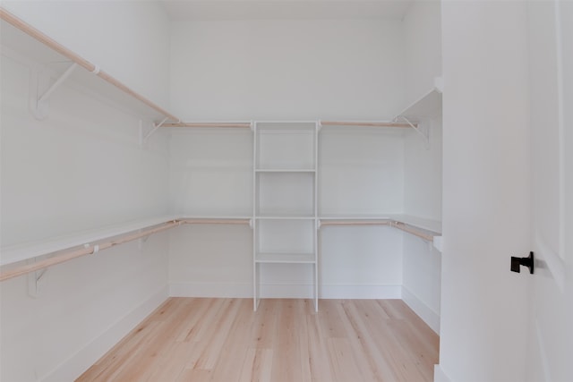 spacious closet featuring light hardwood / wood-style flooring